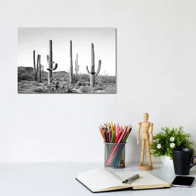 Icanvas Gray Cactus Land By Sisi & Seb - Picture Frame Graphic Art Print In No Mat,wrapped Canvas