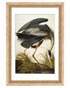 Icanvas Great Blue Heron By John James Audubon Wall Art