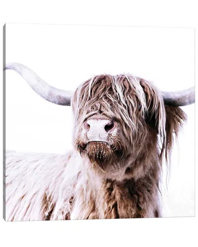 Icanvas Highland Cattle Frida I Square By Monika Strigel Wall Art In Gray