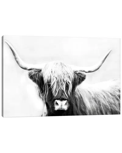 Icanvas Highland Longhorn By Danita Delimont Wall Art In Gray