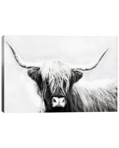 Icanvas Highland Longhorn By Danita Delimont Wall Art In Gray