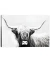 Icanvas Highland Longhorn By Danita Delimont Wall Art
