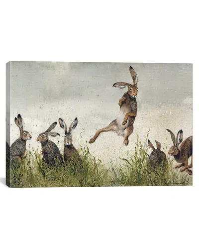 Icanvas Hijinx Canvas Artwork By Maggie Vandewalle In Multi