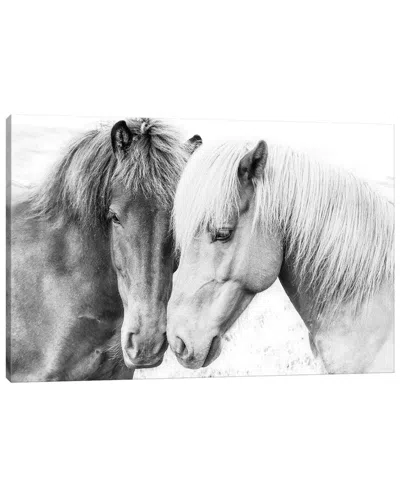 Icanvas Horse Love By Sisi & Seb Wall Art