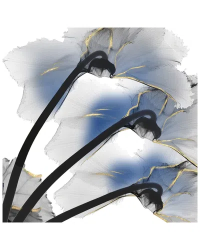 Icanvas Indigo Luster Cyclamen I By Albert Koetsier Wall Art In Blue