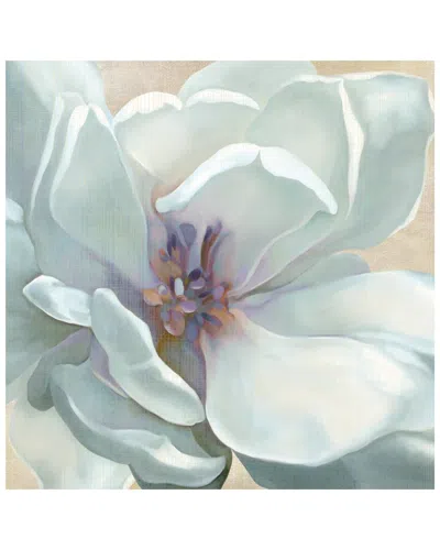 Icanvas Iridescent Bloom I By Carol Robinson Wall Art In White