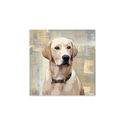 Icanvas Labrador Retriever Print On Acrylic Glass In White;green;cream;tan;swamp Green;olivin