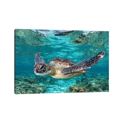 Icanvas Learn To Fly By Jordan Robins - Photograph Print In No Matte,wrapped Canvas