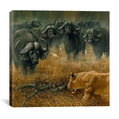 Icanvas "lioness And Cape Buffalos" By Harro Maass Painting Print On Canvas In Gray;beige