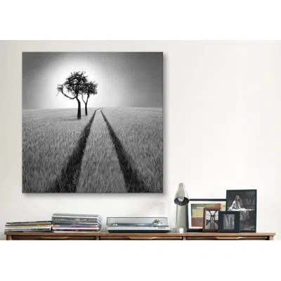 Icanvas 'listen To Wisdom' By Ben Heine Photographic Print On Wrapped Canvas In No Mat,wrapped Canvas