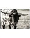 Icanvas Longhorn Portrait By Tyler Stockton Wall Art