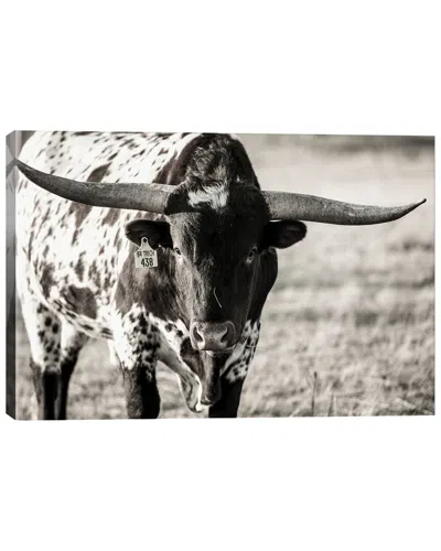 Icanvas Longhorn Portrait By Tyler Stockton Wall Art