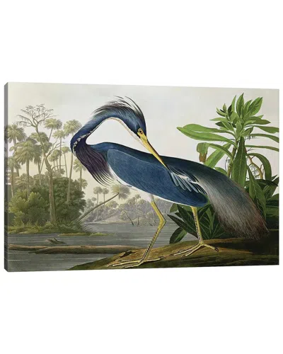 Icanvas Louisiana Heron By John James Audubon Wall Art In Multi