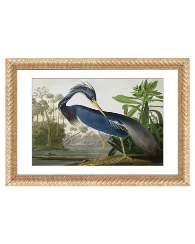 Icanvas Louisiana Heron By John James Audubon Wall Art In Multi