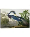Icanvas Louisiana Heron By John James Audubon Wall Art