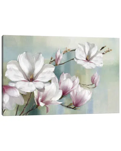 Icanvas Magnolia Blooms By Rogier Daniels Wall Art