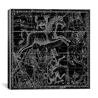 Icanvas Maps And Charts Celestial Atlas - Plate 25 (canis Major) By Alexander Jamieson Graphic Art On Canvas In Black;white