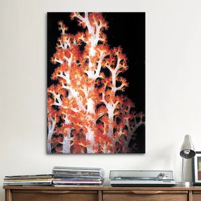 Icanvas Marine And Ocean Red Gorgonian Coral #2 Photographic Print On Canvas In No Mat,wrapped Canvas