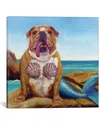 Icanvas Mermaid Dog By Lucia Heffernan