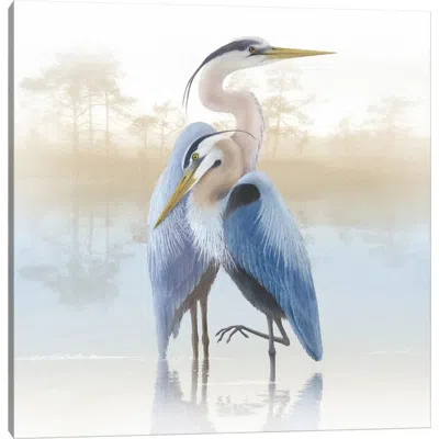 Icanvas Misty Plumage Ii By Steve Hunziker Canvas Wall Art In Multi