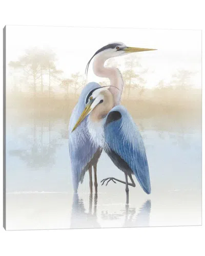 Icanvas Misty Plumage Ii By Steve Hunziker Wall Art In Blue