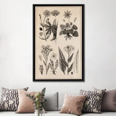 Icanvas 'new British Herbal Sketch' Graphic Art On Canvas In No Mat,wrapped Canvas