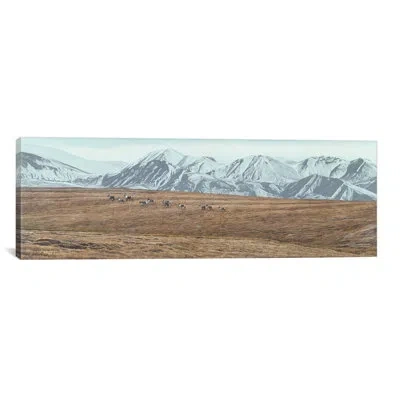 Icanvas 'northern Skyline - Caribou' By Ron Parker Photographic Print On Canvas In Brown;white