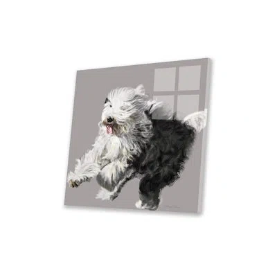 Icanvas Old English Sheepdog Print On Acrylic Glass In Blue;black;white;gray;orange;silver