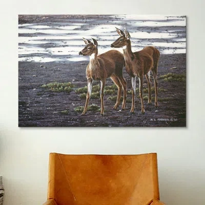 Icanvas 'on The Flats' By Ron Parker Painting Print On Canvas In Brown;gray