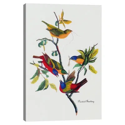 Icanvas 'painted Bunting' Print On Canvas In Green;beige