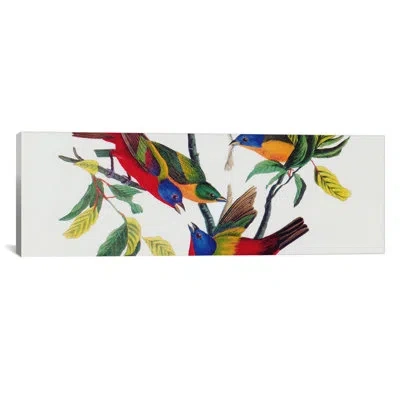 Icanvas Painted Bunting - Wrapped Canvas Print In Black;white;silver;olivine;earls Green