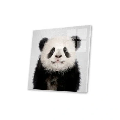 Icanvas Panda Bear Print On Acrylic Glass In Black;white;gray;silver