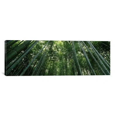 Icanvas Panoramic Arashiyama, Honshu, Japan - Wrapped Canvas Photographic Print In Black;dingley Green;swamp Green;olivine;