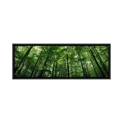 Icanvas Panoramic Low Angle View Of Beech Trees, Baden-wurttemberg, Germany #2 - Wrapped Canvas Photographic