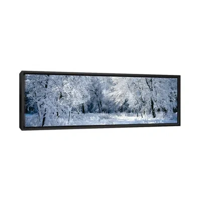 Icanvas Panoramic Winter Forest, Yosemite National Park, California, Usa By Panoramic Images - Gallery-wrapp In Black;perano;moody Blue;jordy Blue;astra