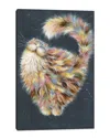 Icanvas Patapoufette By Kim Haskins Wall Art