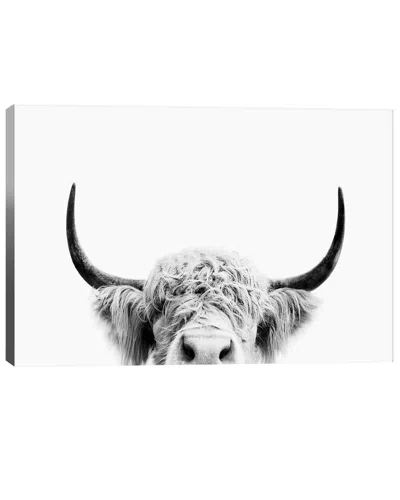 Icanvas Peeking Cow In Black & White By Sisi & Seb