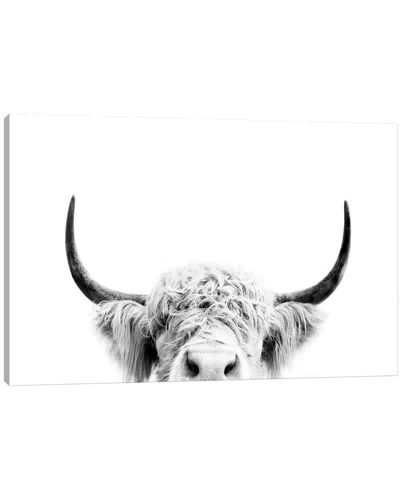 Icanvas Peeking Cow In Black & White By Sisi & Seb Wall Art In Gray