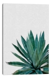 Icanvas Plants, Flowers & Trees Canvas Artwork In Green Flora