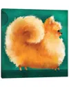 Icanvas Pom By Terry Runyan Wall Art