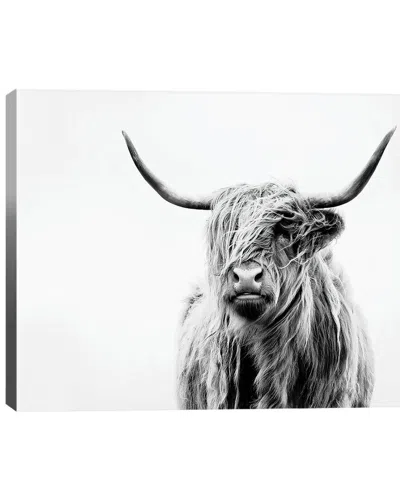 Icanvas Portrait Of A Highland Cow Wall Art By Dorit Fuhg In Black