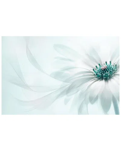 Icanvas Purity By Jacky Parker Wall Art In Green