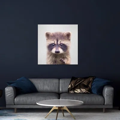 Icanvas Raccoon Print On Acrylic Glass