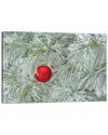 Icanvas Red Ornament And Rime Frost Wall Art