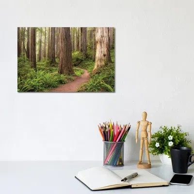 Icanvas Redwood Trail By Stefan Hefele - Photograph Print On Canvas In No Mat,wrapped Canvas