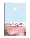 Icanvas Rose Beach By Dan Hobday