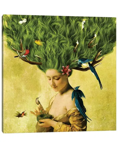 Icanvas Safe Haven By Diogo Verissimo Wall Art In Multi