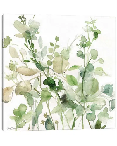 Icanvas Sage Garden Ii By Carol Robinson Wall Art