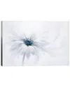 Icanvas Serenity By Jacky Parker Wall Art