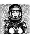 Icanvas Silver Astro Canvas Wall Art